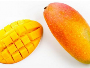 â������������Щ֢״ ��â��������ô��