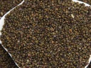 ɳԷ�ӵĹ�Ч�������÷� ɳԷ�������ž�����