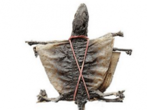 ������Ҫ���� ���ļ���Ҫ��