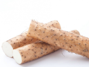 ɽҩ��õ����ǳ�Խ��Խ��