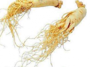 �����̲�Ԫ����������ҩ ��Ԫ����ʳ�Ʒ�����Щ