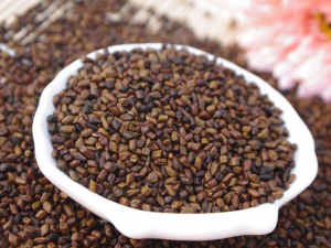 ���ܳ����в�ҩ�Ĺ�Ч������Щ