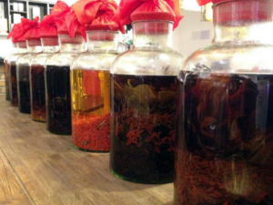 �ƾ��Ƶ��������� �ƾ�������Щ����