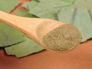 ��Ҷ������Щ���� ��Ҷ����ȥ��̵ʪ