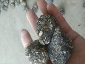 �꿨��ҩ�Ƶ�ѡ�� �꿨����Щ����