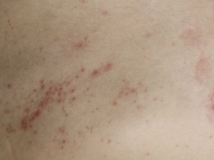 ţƤѢҪ��ô���� ţƤѢҪ��λ���