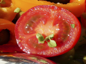 ��ʳ�������ô���� ��������ô�Ը�Ӫ��