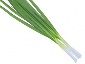 ����С����ʳʳ�� С�еĹ�Ч������