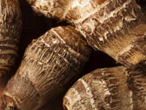 ��������ͷ������Щ���˵ĺô�