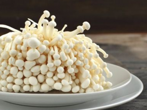 ���빽������㰮���� ���빽�����������