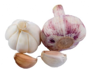 �����ƫ������Щ �Դ���ĺô�