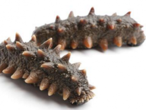 7��ҩ�ŷ����������θ�� һ���ղذ�