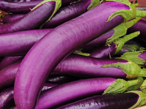 ����������Ч ��֪�������ӵĺô���