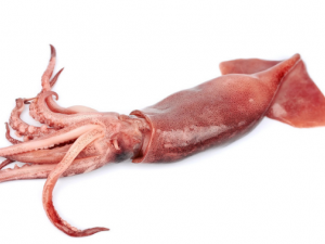 �����Ӫ����ֵ ��ô���������