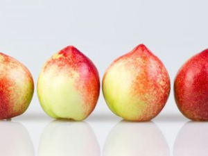 ��ϰ��ӵ�к����� ���������Զ�������