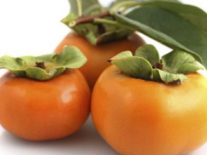 �����ӵ�ע������ ���Ӳ��ܺ�ʲôһ���