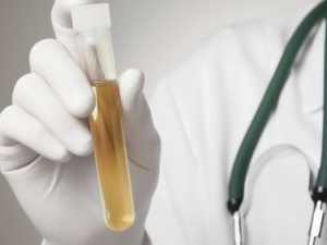 ��Һ��ɫ��ʾ��Щ���� һ�����˽�һ�°�