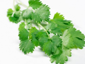 �������Щ��Ч���� ��˵�Ӫ����ֵ