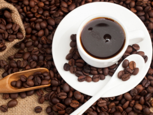 ���ٵ�ʳ������Щ ���볤����