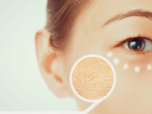 Ƥ��������ε��� Ƥ�����Ƶ�ԭ��