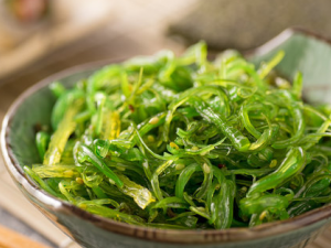 ���躣��˿Ӧ��ô�� ���躣��˿������