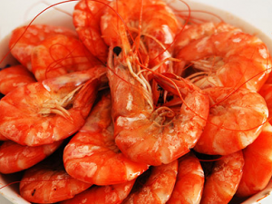 ������й���ͨ����ʳ����