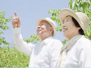 ��������γ��������