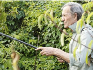 ���˲���ʳ������Щ �����˱����벹������