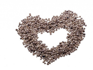 ��ô�������� �Ի����� �ĺô�