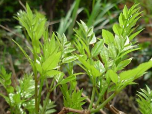 �����ϻ���ô���� �����ϻ������ˮ������