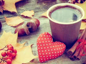 ����������ô���� ���������������