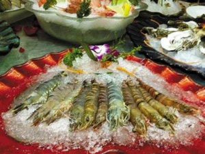 �����ܸ�����ɱ�� ���Զ���Ѫѹ