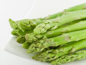 ϲ����������ѿ����� ��Щ�ⲻ�ܳ���