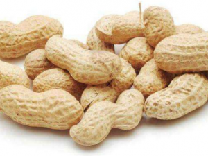 ��Щ�˲��˳Ի����� �����ļ��ֳԷ�