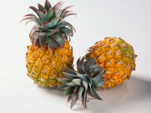 ���ܵ���ѡ���н��� ���������������Ĵ���