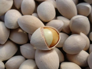 �׹���ҩ�ü�ֵ �׹����β��鷽