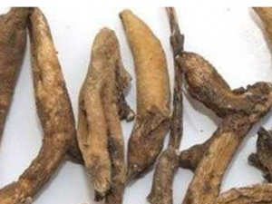 �����ڵ�ҩ�ü�ֵ ����������Щ������