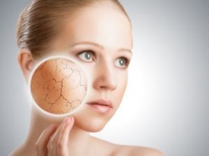 Ƥ������Ҫ�ı���������ʲô һ����������