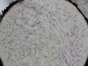 ������ͷ��ô��ѡ ������ͷ��⿵ļ���