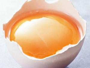 ������Ĥ������������ ���۵�����Ĥ������