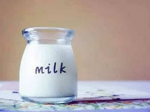 ���Ϻȴ��̵�ע������