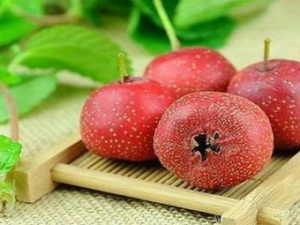 ɽ髵Ĺ�Ч������ ɽ髲��ܺ�ʲôһ�����