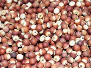 �������岻������Щ֢״ ����ƽʱ��������ķ���