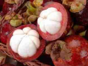 �����Ĺ�Ч������ �������̷���һ�����