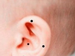 С�����������˵�� С�������ԭ����ʲô