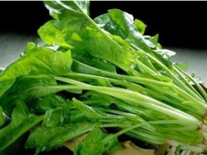 ���˵�ʳ�ù�Ч ���˺Ϳ�����һ�����