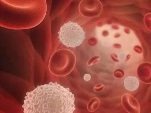 ����ʹ�ļ�鷽ʽ ����ʹ�����������Ա�