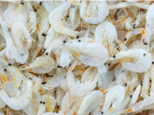 СϺƤ�Ĺ�Ч СϺƤ�ĳԷ�