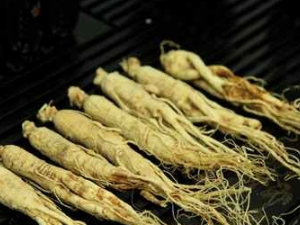 ���Ӧ���չ���Ƥ�� �����չ���Ƥ��ƫ��