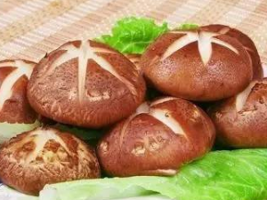 ����Ŵ����ɽ�Ҳ�ϰ� 6�����ǳ�����ĸ�Σ��Ⱥ